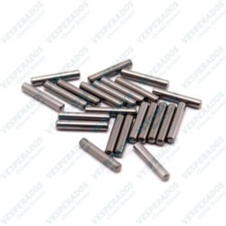 agulhas arvore primaria